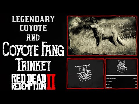 RDR2: Fundort des legendären Kojoten und Leitfaden zum Kojotenzahn-Schmuckstück | +10 % Dead Eye ...