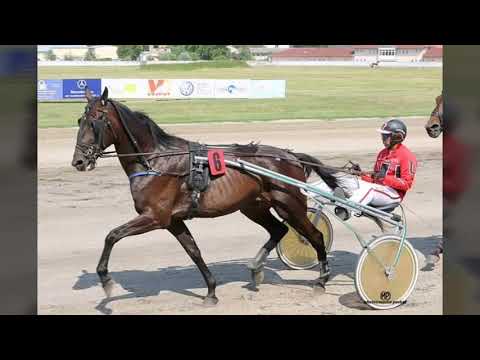 Priča o Ivanu Turgenjevu AT