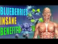 Blueberries Benefits Are Insane And Here Are The 15 Reasons To Eat Blueberries Every Day