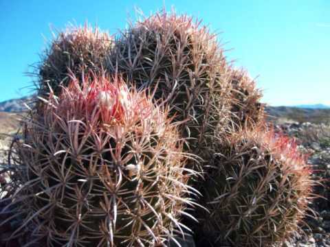 Death Valley: 3 Nights in the giant abyss of silence