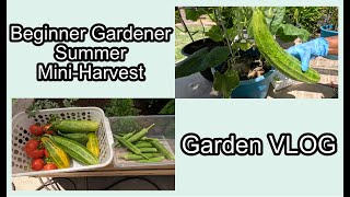 Mid-Summer Mini Harvest-Wins and Fails| Beginner Gardener| VLOG| Salad Garden - Grow With Me
