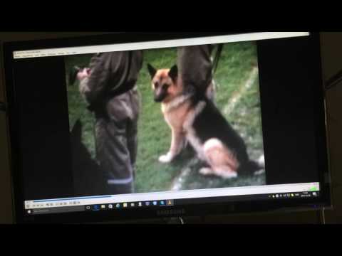 Gunnarstorps IF - Hammarby IF Kval till Div. 1 1966, 1-0, 1-1 full tid