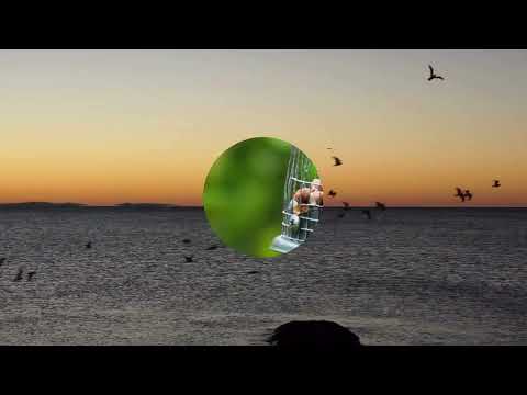 Chapter 1: Ar-Rahman – The Most Gracious