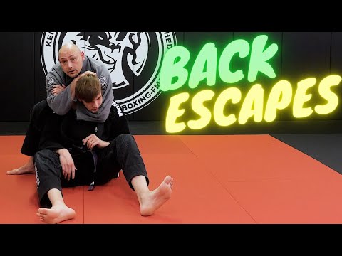Brazilian Jiu-Jitsu Back Mount Escape Basics Every Beginner Should Know