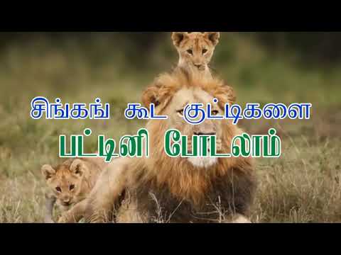 Tamil Christian Songs new 11