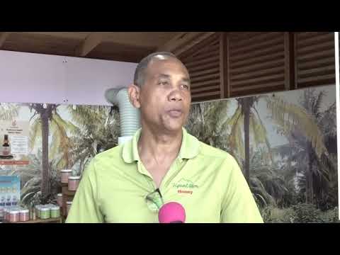 ‘Fake’ honey being sold
