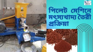 পিলেট মেশিনে মৎস্যখাদ্য তৈরী প্রক্রিয়া