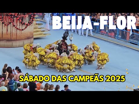 BEIJA-FLOR 2025 | SÁBADO das CAMPEÃS ( No Amanhecer ) Completo