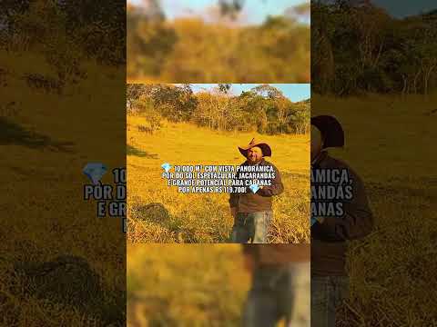 🐺🌅 PICO DO LOBO-GUARÁ – ESTIVA/MG 🌅🐺