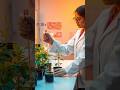Tulshi Plant Experiment Facts Upsc