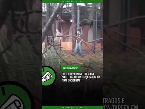 FORTE CHUVA CAUSA ESTRAGOS E PREFEITURA MONTA FORÇA-TAREFA EM CIDADE OCIDENTAL #Shorts