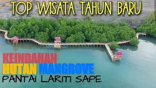 preview picture of video 'hutan mangrove lariti sape'