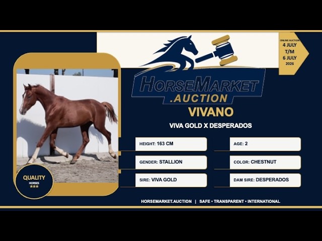 Vivano
