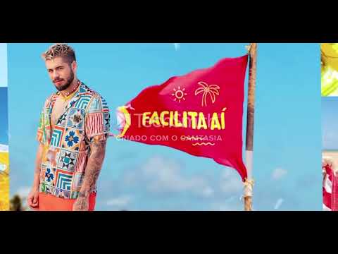 FACILITA AÍ - ZÉ FELIPE - LANÇAMENTO 2023 - TIK TOK