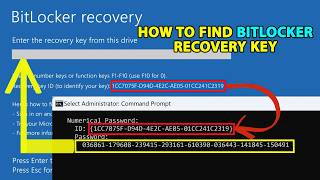 How to Find BitLocker Recovery Key HP Laptop | Works on HP, Dell, Leno