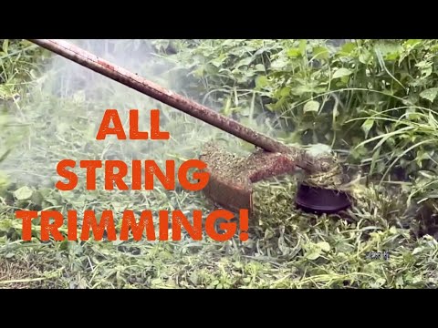 EXTREME String Trimming - Overgrown Weeds ~ Oddly Satisfying ASMR