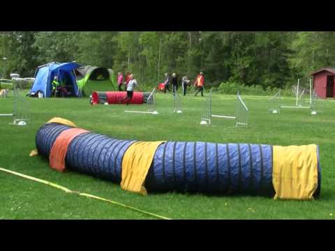 Tävl 160529 Haninge Ho2B Monica Trixi