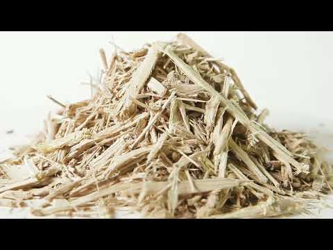 Элеутерококк