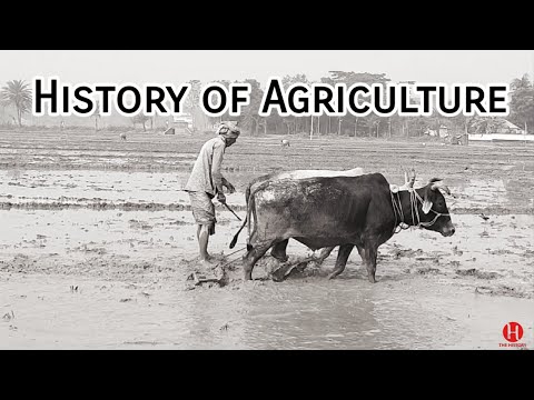 History and Evolution of Agriculture
