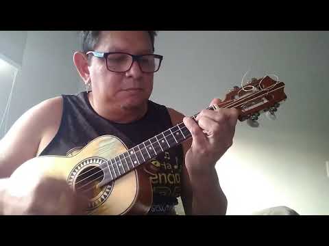 Dia De Sol - Negritude Júnior