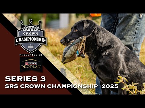 2025 SUPER RETRIEVER SERIES CROWN CHAMPIONSHIP - SERIES 3