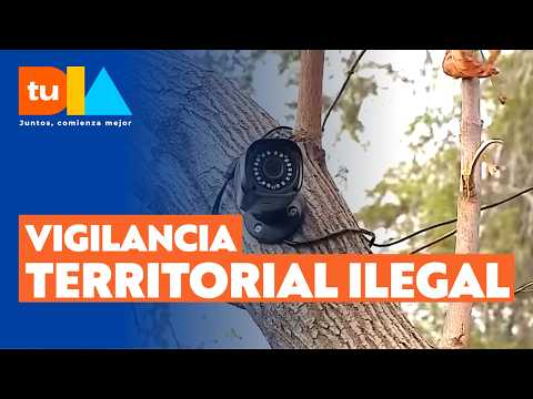 Ocultas en árboles y tubos PVC: Realizan operativo de retiro de 'narco cámaras' en La Granja
