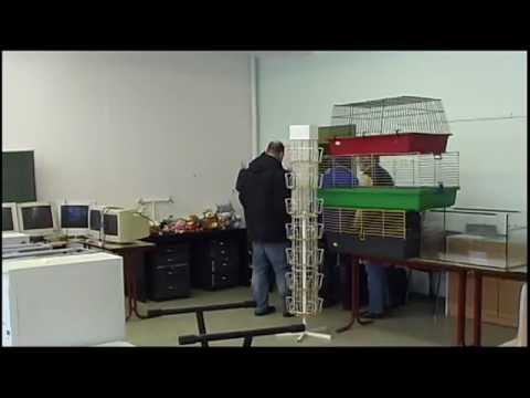 Flohmarkt: NATZ entrümpelt für Umzug - ELSTERWELLE