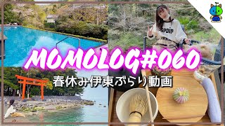 Download lagu [Vlog] Spring break! A vlog on the way to my grandma's house in Ito 🐶MOMOLOG#060 [Momoka Channel] mp3