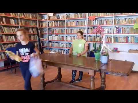 ''Bucla in programare''