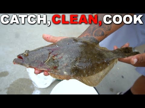 download lagu mp3 mp4 What Do Flounder Like To Eat, download lagu What Do Flounder Like To Eat gratis, unduh video klip What Do Flounder Like To Eat