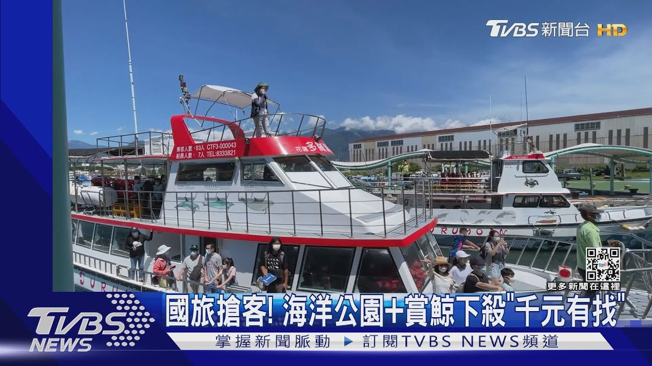 國旅搶客! 海洋公園+賞鯨下殺「千元有找」
