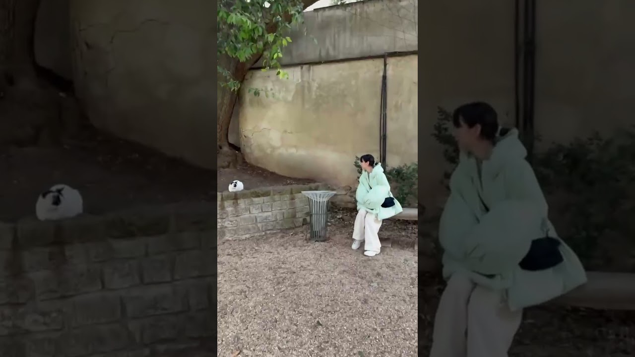 猫扱いすると、つれない素ぶり。 のん