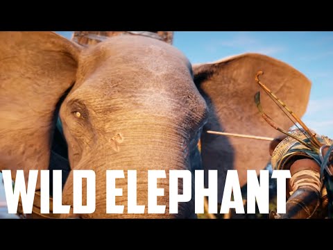 Assassin's Creed Origins War Elephant Takedown | Assassin's Creed Origins Elephant Attack