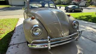 1967 Volkswagen Beetle Walk Around