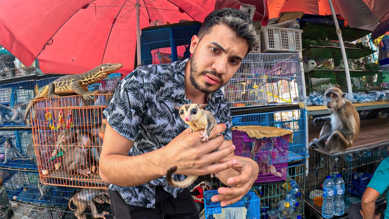I Went Undercover in the EXOTIC ANIMAL MARKET in INDONESIA 🐆🐍