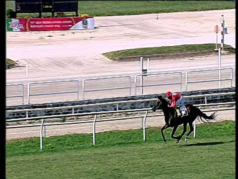 Galoppo 14/03/2019 - 2ª corsa