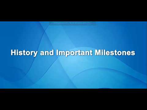 TotalDev Brief History