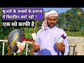 सुअरों के जख्मों के इलाज कैसे करें How To Tr