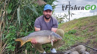 Рибалка в Києві: Озеро Чайка (Ribalka Cool Place) — ціни, умови, риба, відгуки