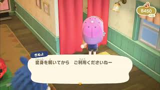 あつまれどうぶつの森　シナモンのマイデザイン書く