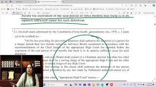 CONSTITUTIONAL LAW - Article 22 (MLC)