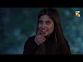 Aina Ki Maa Ka Qatal Kis Ne Karwaya Sajalaly Ahadrazamir Ye Dil Mera HUM TV