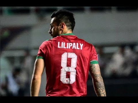 Stefano Lilipaly ►All Time Low | Amazing Skills & Goals | HD