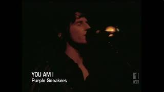 You Am I - Purple Sneakers