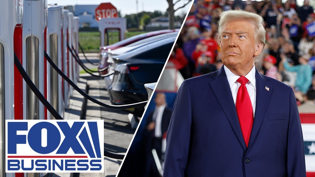 Trump administrator works to axe car feature that Americans ‘hate’