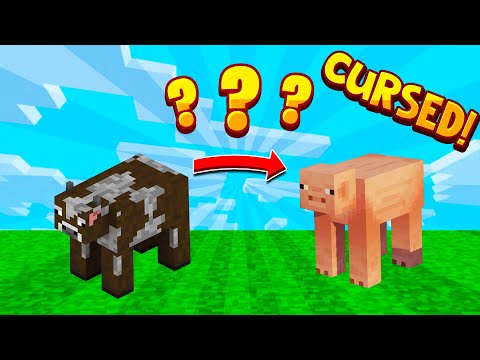 I Tried to Beat Minecraft using a CURSED Texture pack!
