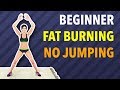 BEST 15 Min Beginner Workout For Fat Bur BEST 15 Min Beginner Workout For Fat Bur