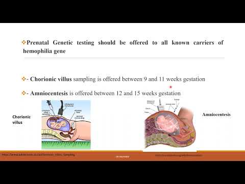 Hemoglobin Related Disorders
