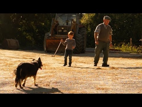 Les Barbeaux "Le Sang du Papet"