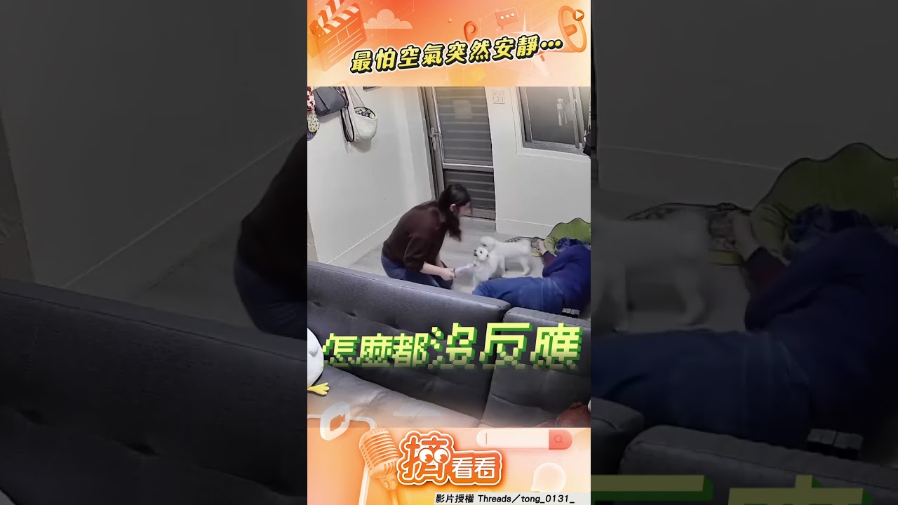 影音/2汪見媽被打「肉身保護」狂吠 換爸「倒地哀嚎」竟直接靜音